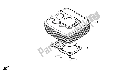 All parts for the Cylinder of the Honda TRX 250 EX Sporttrax 2001