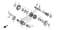 transmission (arbre principal)