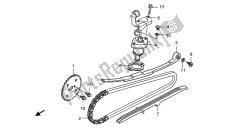 CAM CHAIN & TENSIONER