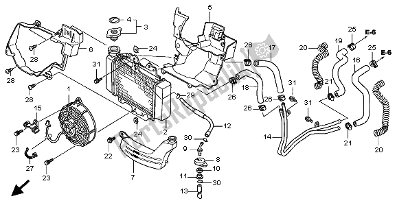 All parts for the Radiator of the Honda SH 125 2009