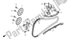 CAM CHAIN & TENSIONER