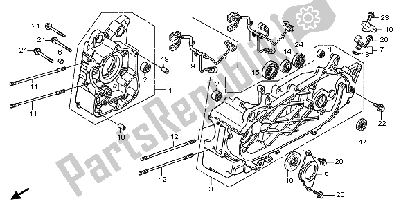 All parts for the Crankcase of the Honda FES 125A 2011
