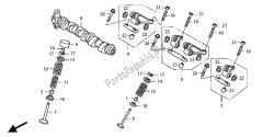 árbol de levas y válvula (trasera)