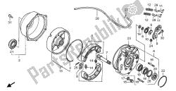 REAR BRAKE PANEL