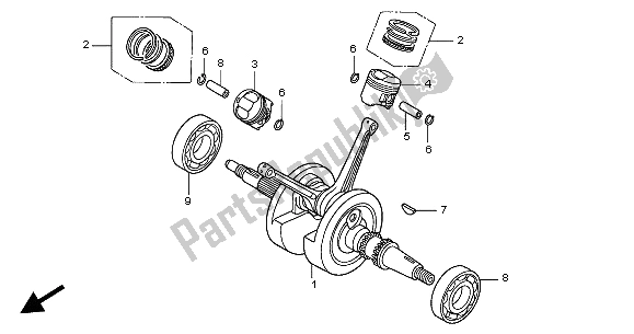 All parts for the Crankshaft & Piston of the Honda XL 125V 2004