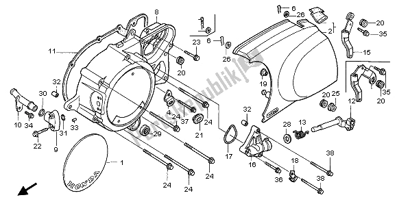 All parts for the Left Crankcase Cover of the Honda VT 1100C2 1995