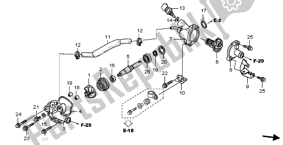 All parts for the Water Pump of the Honda FES 125A 2009