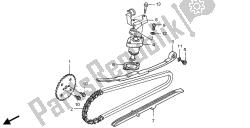 cadena de levas y tensor