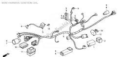 WIRE HARNESS/ IGNITION COIL
