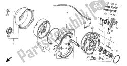 REAR BRAKE PANEL