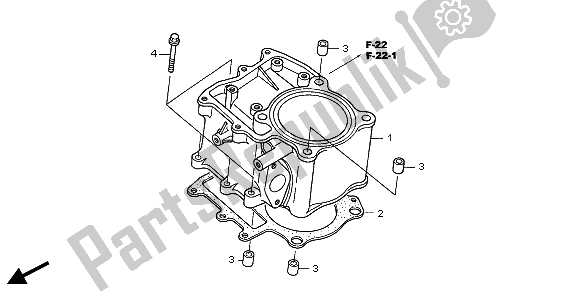 Alle onderdelen voor de Cilinder van de Honda TRX 500 FA Fourtrax Foreman 2002