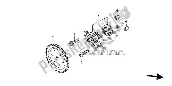Todas las partes para Bomba De Aceite de Honda SH 125A 2013