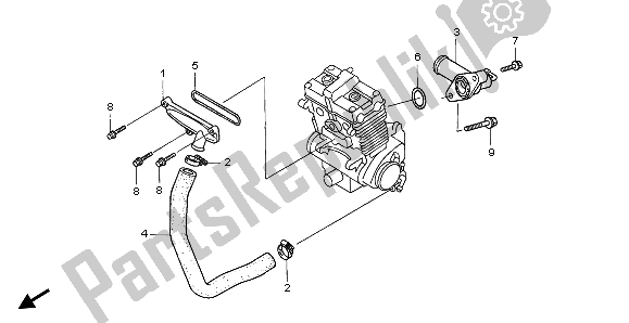 All parts for the Water Pipe of the Honda CB 500 1997