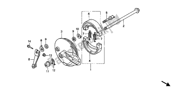 All parts for the Rear Brake Panel of the Honda XL 600 1988