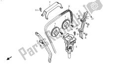 cadena de levas y tensor