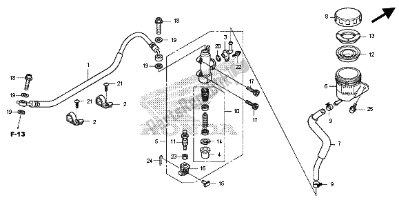 All parts for the Rear Brake Master Cylinder of the Honda CB 600F Hornet 2013