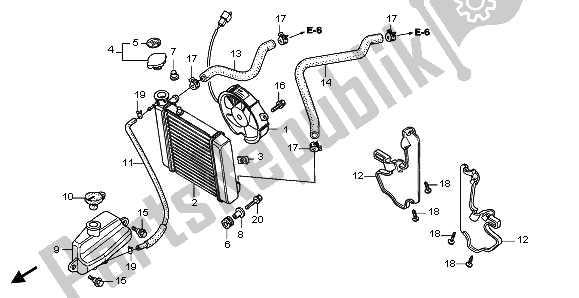 Tutte le parti per il Termosifone del Honda FES 125A 2011