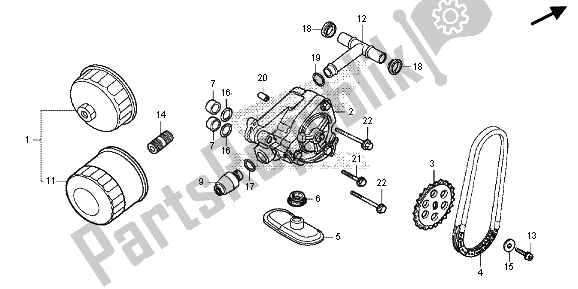 Tutte le parti per il Pompa Dell'olio del Honda VT 750 CS 2013