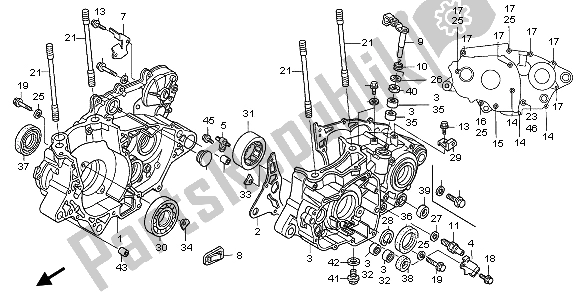 All parts for the Crankcase of the Honda TRX 450 ER Sportrax 2006