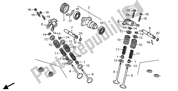 Tutte le parti per il Albero A Camme del Honda TRX 300 EX Sportrax 2006