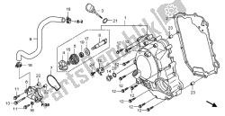 RIGHT CRANKCASE COVER & WATER PUMP