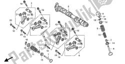 árbol de levas y válvula (delantero)