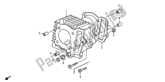 All parts for the Cylinder of the Honda CRF 50F 2013