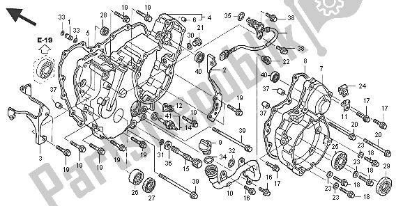 Tutte le parti per il Coperchio Del Carter Posteriore del Honda TRX 650 FA Fourtrax Rincon 2005