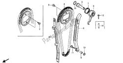 cadena de levas y tensor