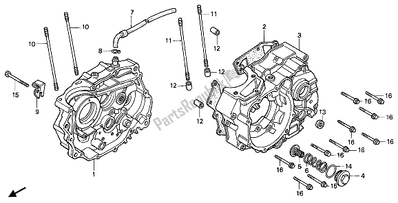 All parts for the Crankcase of the Honda NX 125 1989
