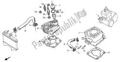 CYLINDER & CYLINDER HEAD