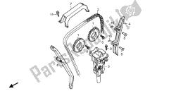 CAM CHAIN & TENSIONER