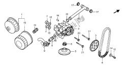 filtro dell'olio e pompa dell'olio