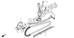 cadena de levas y tensor