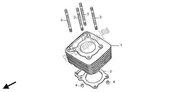 Alle onderdelen voor de Cilinder van de Honda CBF 250 2004