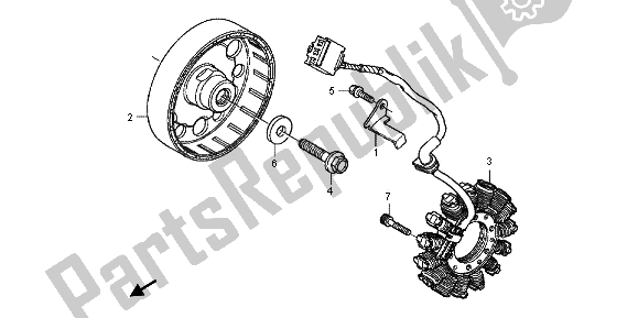 All parts for the Generator of the Honda CB 600F Hornet 2012