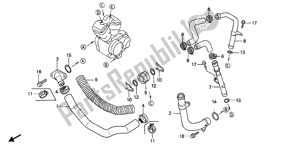 All parts for the Water Pipe of the Honda NTV 650 1989