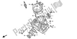 CYLINDER & CYLINDER HEAD