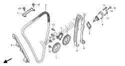 cadena de levas y tensor