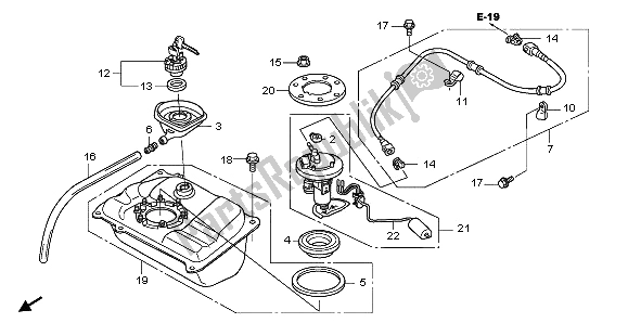 All parts for the Fuel Tank of the Honda NHX 110 WH 2013