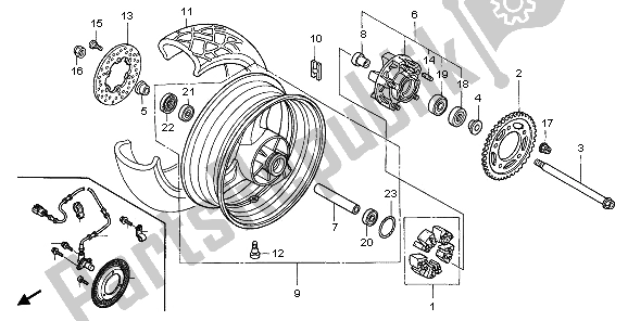 Tutte le parti per il Ruota Posteriore del Honda XL 1000V 2006