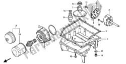 OIL PAN & OIL PUMP