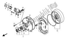 Rear brake drum