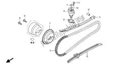 CAM CHAIN & TENSIONER