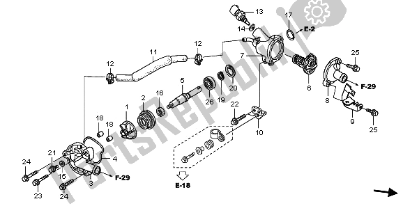 All parts for the Water Pump of the Honda FES 150A 2009