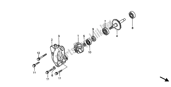 All parts for the Water Pump of the Honda CR 80R 1993