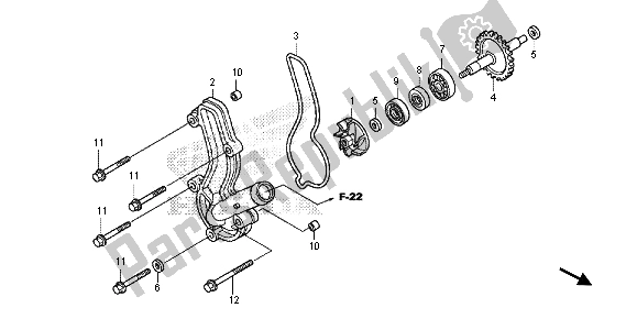 Tutte le parti per il Pompa Dell'acqua del Honda CRF 150R SW 2013