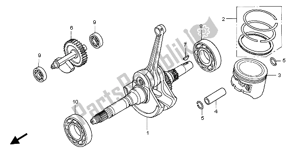 Todas las partes para Cigüeñal Y Pistón de Honda TRX 350 FE Fourtrax 4X4 ES 2004