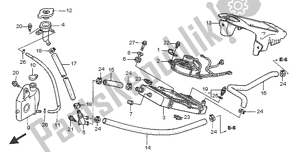 Tutte le parti per il Termosifone del Honda NES 150 2005