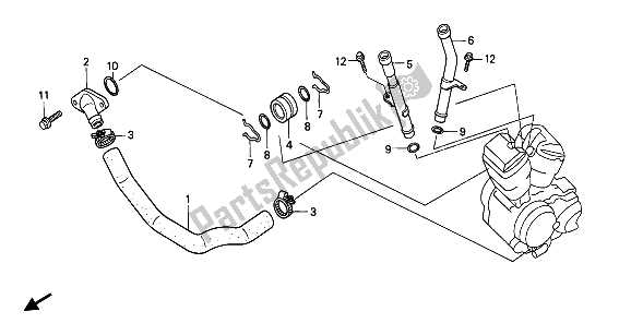 Tutte le parti per il Tubo Dell'acqua del Honda VT 600C 1994